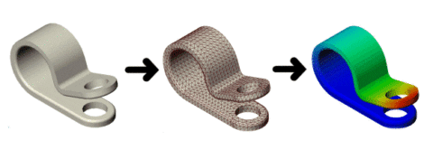 Buckle