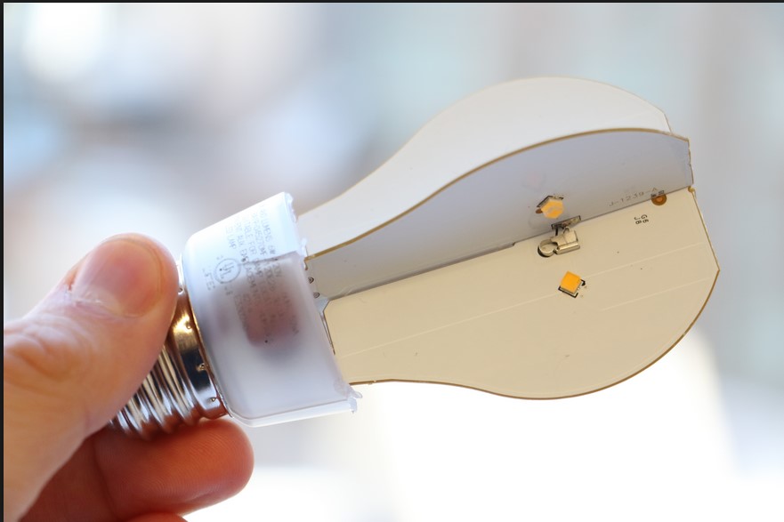 bulbs