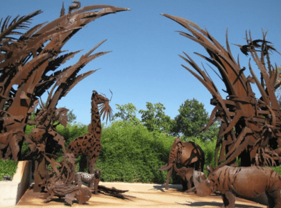 “Animals Always” for the St Louis Zoo