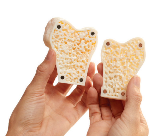 Stratasys: GrabCAD Voxel Print Software and e-Xstream Partnership Image #2