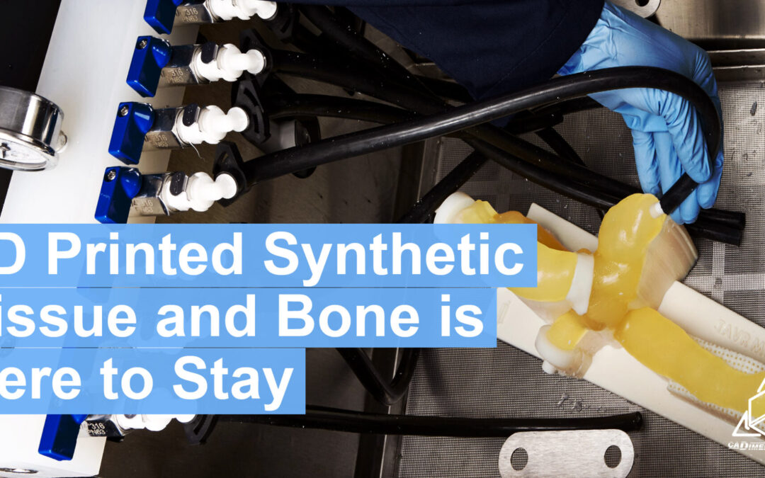Why 3D Printed Synthetic Bodies Parts Are Amazing
