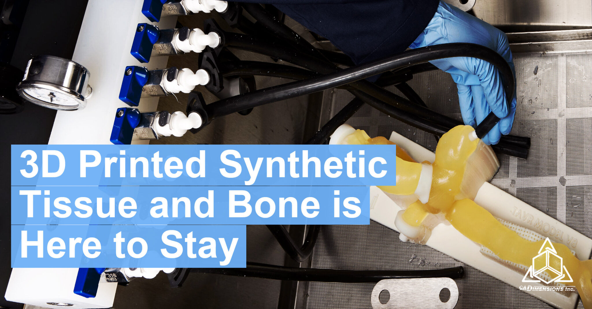 3d printed synthetic bone and tissue is here to stay