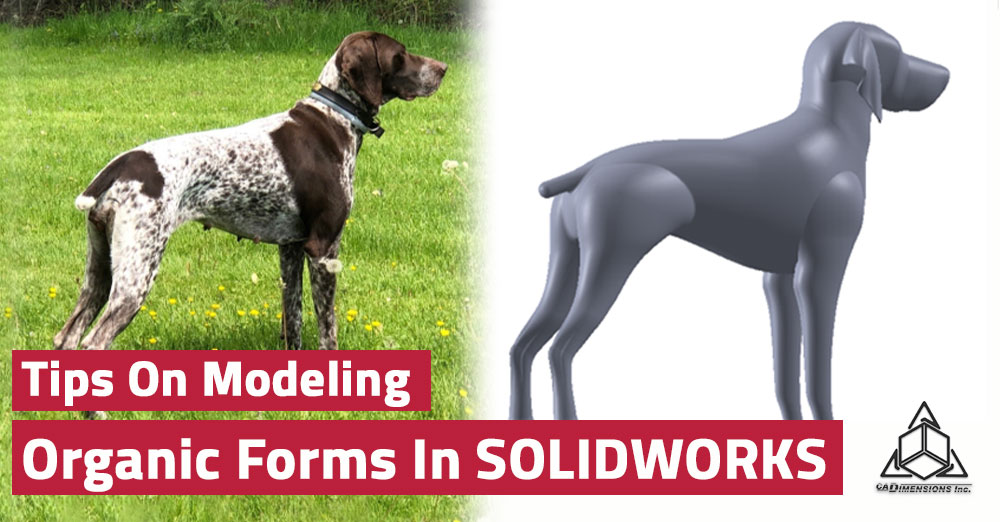 It’s Raining Cats & Dogs – Modeling Forms In SOLIDWORKS!